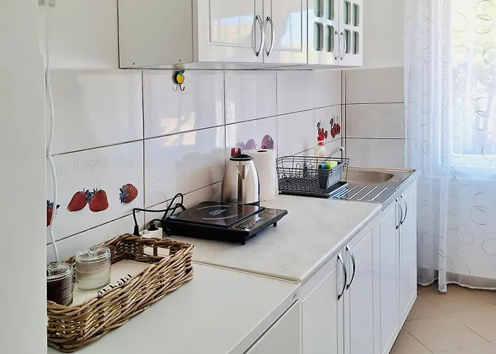 Radulovic Ferienhaus Negotin